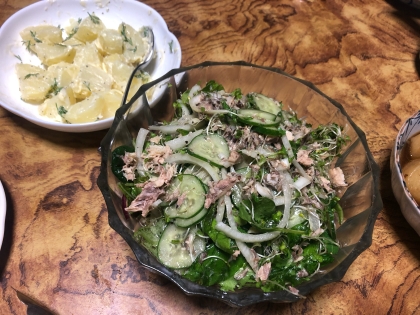 サバ缶と玉ねぎの健康サラダ