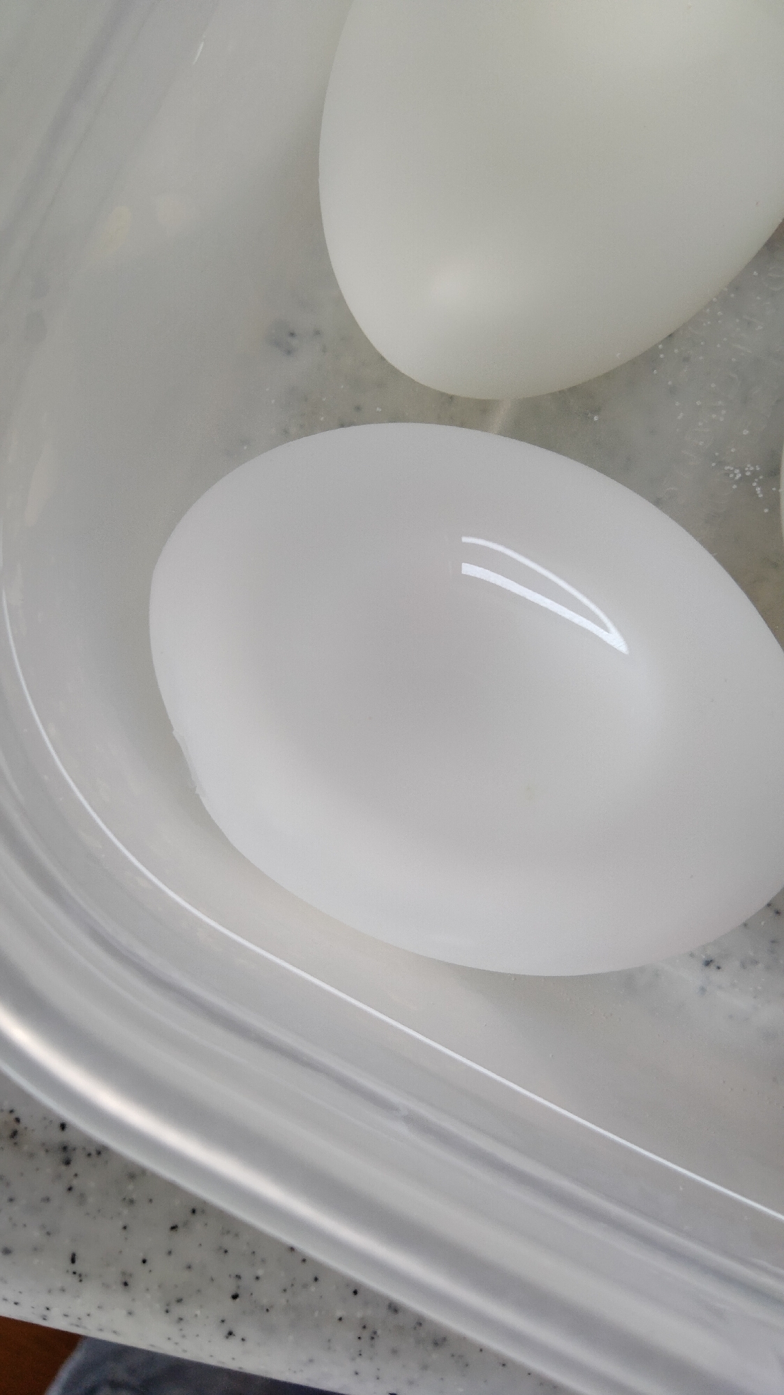 食べてびっくり!塩わさび卵