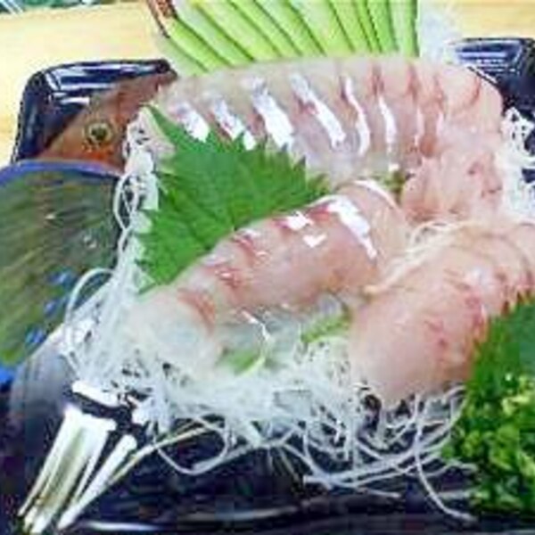 胸ビレを広げると美しい ホウボウの 姿造り レシピ 作り方 By Turi Navi 楽天レシピ 胸ビレを広げると美しい ホウボウの 姿造り レシピ 作り方 By Turi Navi 楽天レシピ