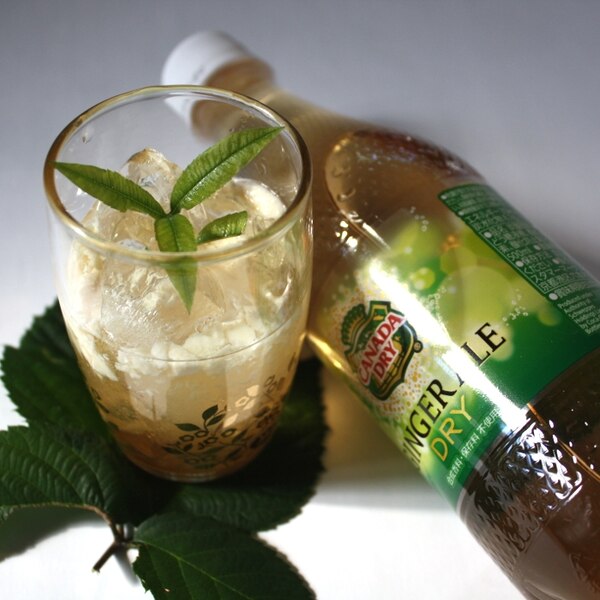 カナダドライ レモン香る豆乳ジンジャーカクテル レシピ 作り方 By 紫君子蘭 楽天レシピ カナダドライ レモン香る豆乳ジンジャーカクテル レシピ 作り方 By 紫君子蘭 楽天レシピ