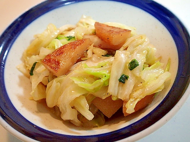 野菜天と春キャベツと豆苗の麺つゆ生姜炒め