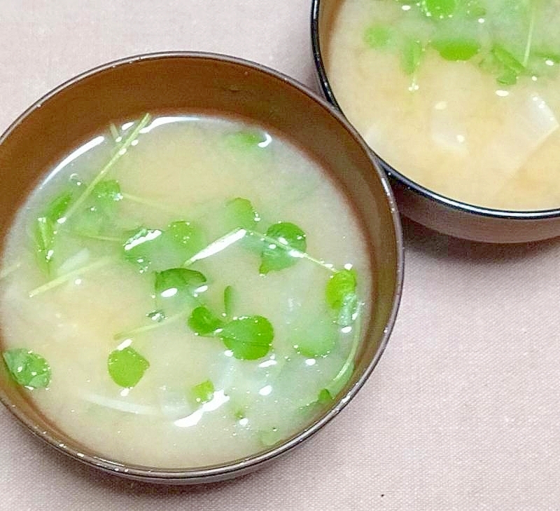 お椀にお湯を注ぐだけ♪簡単豆苗の味噌汁