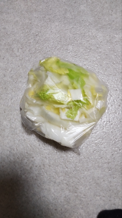 お味噌汁用にꕤ余った白菜の冷凍保存✧˖°
