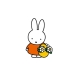 miffy♥