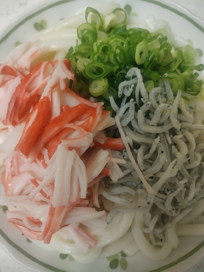 ねぎとちりめんじゃことカニかまのぶっかけうどん