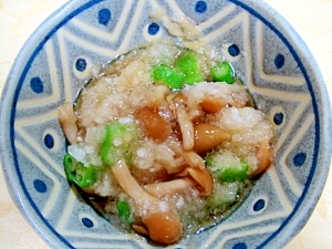 オクラとなめこのおろし和え レシピ 作り方 By Haruru 楽天レシピ オクラとなめこのおろし和え レシピ 作り方 By Haruru 楽天レシピ