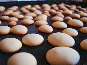 全卵でたまごボーロ レシピ 作り方 By Nonchina 楽天レシピ 全卵でたまごボーロ レシピ 作り方 By Nonchina 楽天レシピ