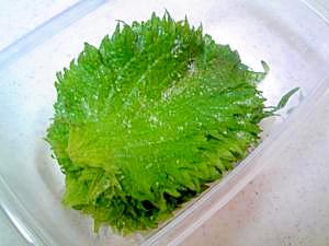 大葉の消費に 大葉の塩漬け レシピ 作り方 By なな1151 楽天レシピ