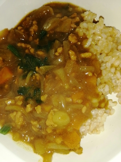冷凍ほうれん草とひき肉のカレー