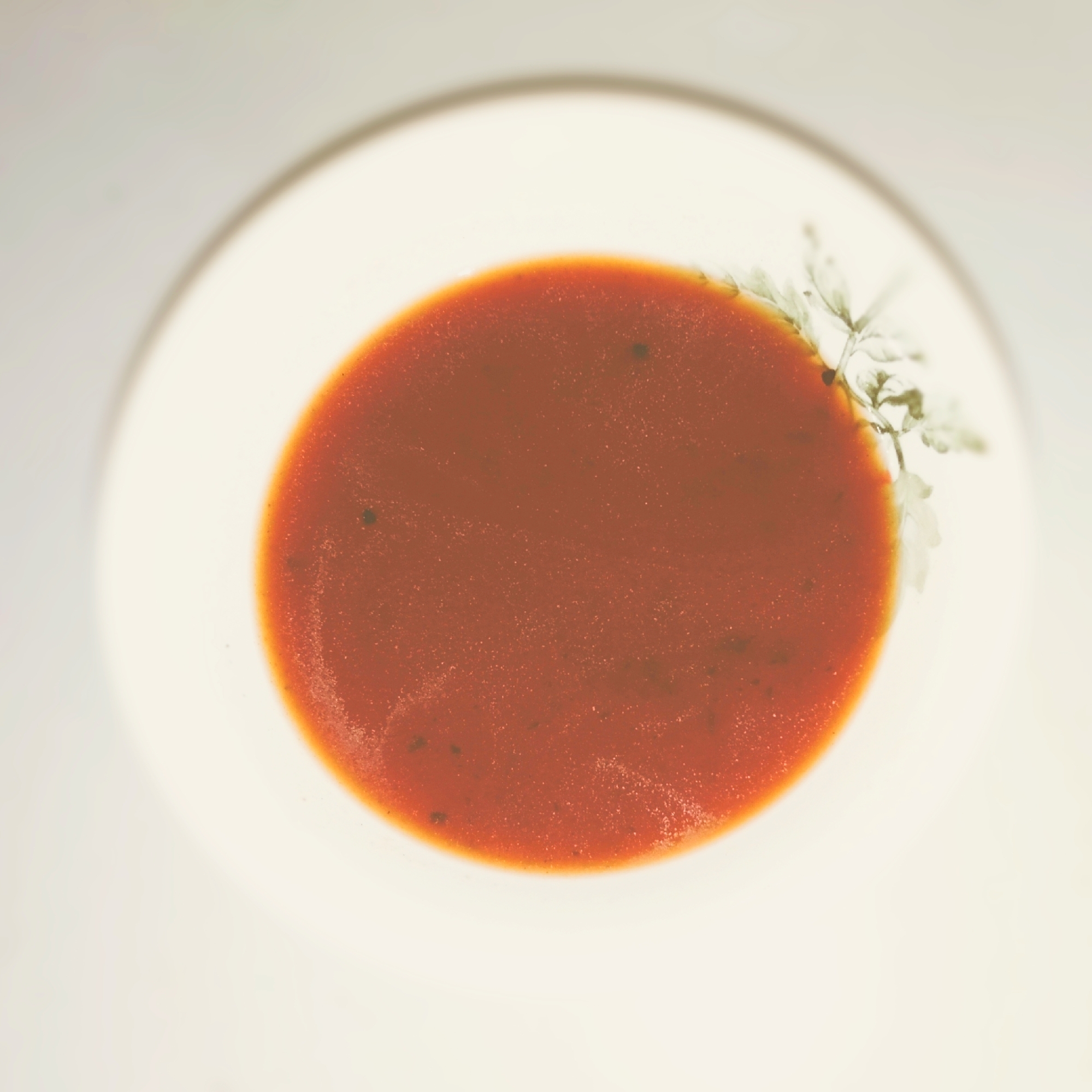 トマト麦茶の冷製スープ