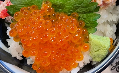 酢飯じゃない　いくら丼