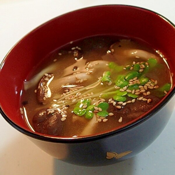 ヒラタケとかいわれ大根と胡麻のお味噌汁 レシピ 作り方 By ぷ みぃまま 楽天レシピ ヒラタケとかいわれ大根と胡麻のお味噌汁 レシピ 作り方 By ぷ みぃまま 楽天レシピ