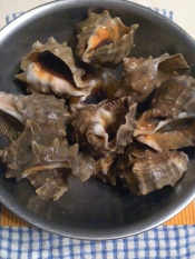 ボイルにし貝 レシピ 作り方 By テツオ63 楽天レシピ ボイルにし貝 レシピ 作り方 By テツオ63 楽天レシピ