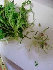 なずな ペンペン草 のごま和え レシピ 作り方 By 猫きなこ 楽天レシピ なずな ペンペン草 のごま和え レシピ 作り方 By 猫きなこ 楽天レシピ