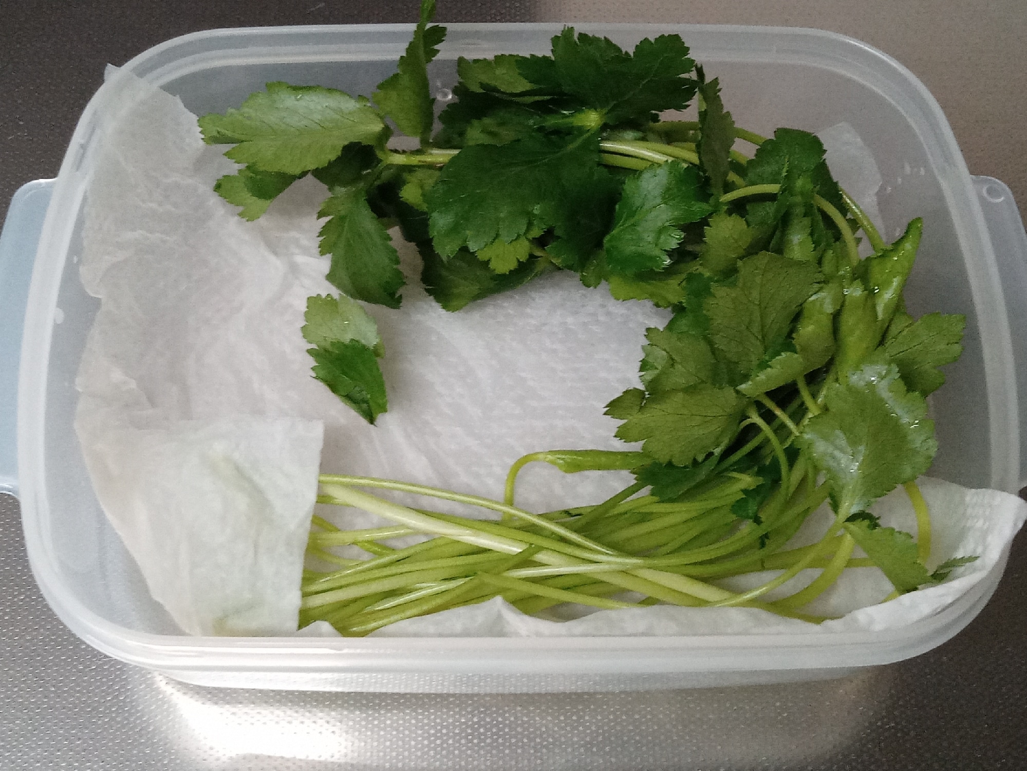 三つ葉 保存 方法