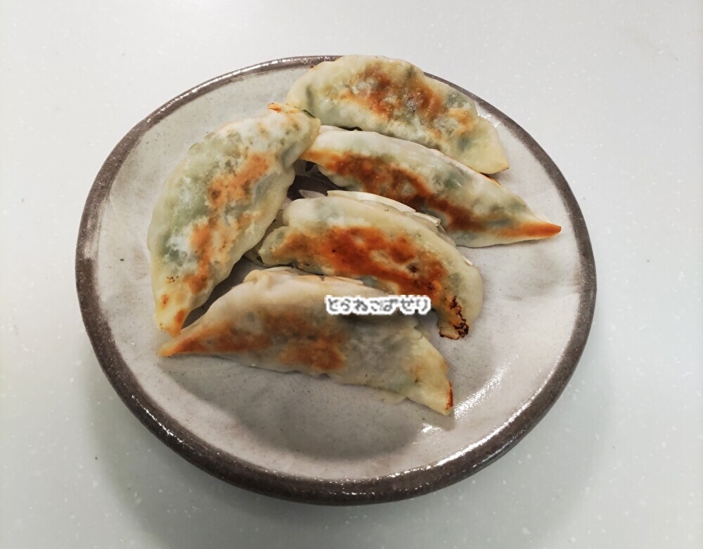 野菜をたっぷり食べる餃子