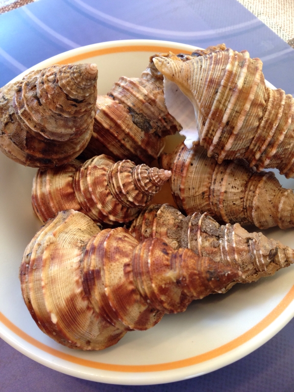 灯台つぶの煮付け レシピ 作り方 By ろみちゃん 楽天レシピ 灯台つぶの煮付け レシピ 作り方 By ろみちゃん 楽天レシピ