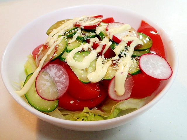 レタス・トマト・胡瓜・ラディッシュの洋風サラダ
