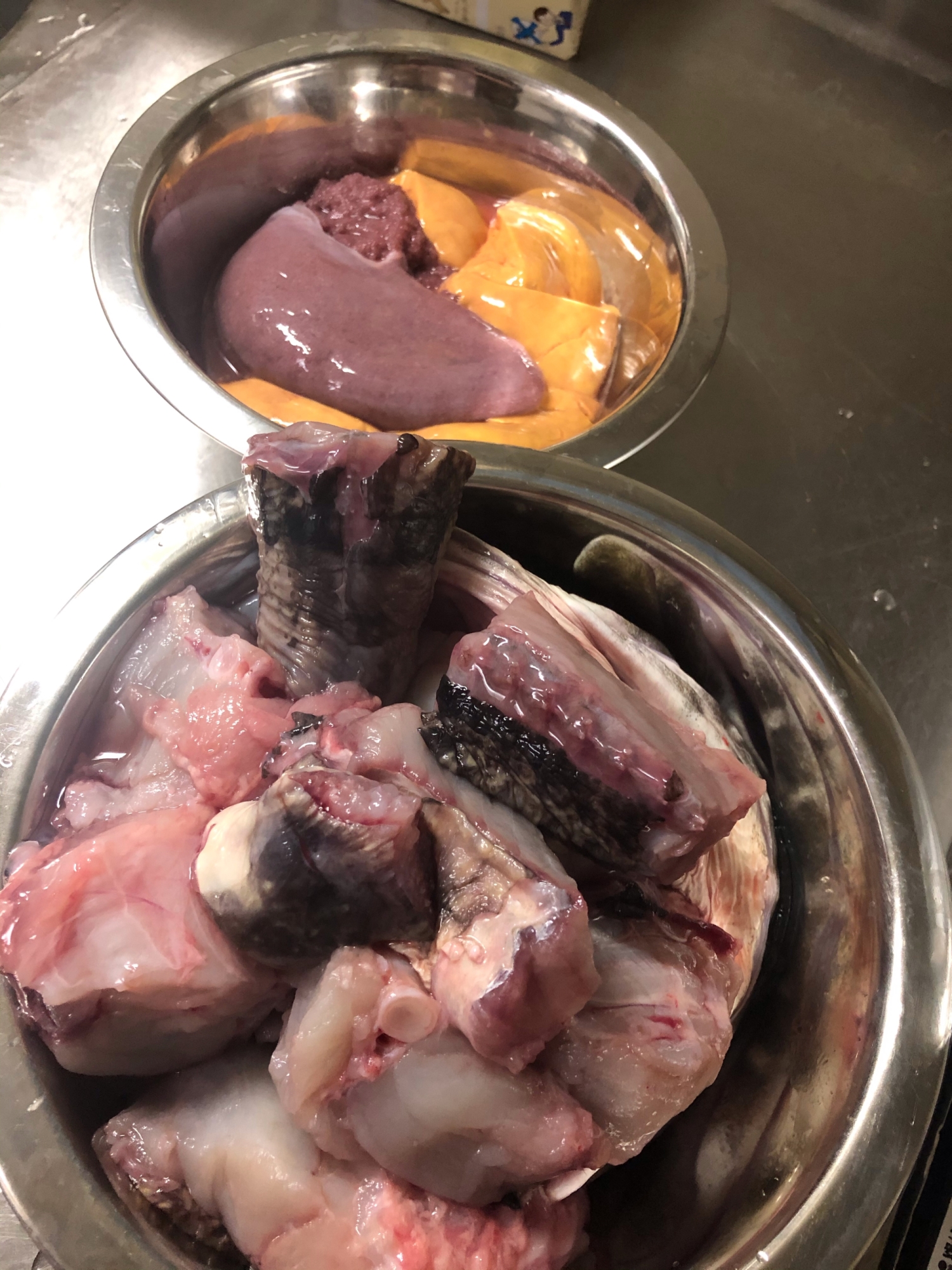 【魚の捌き方】カジカ編〜鍋にぴったりの北海道の魚