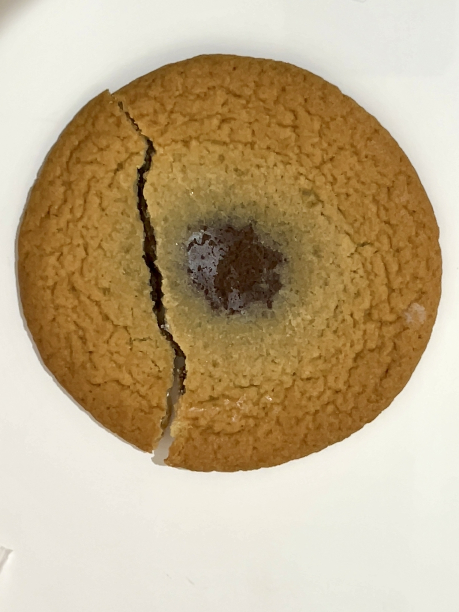 チョコたっぷりのクッキー