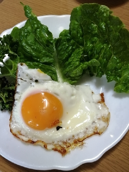 目玉焼きサラダご飯