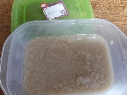 塩麹(発酵器利用)～作り置き調味料