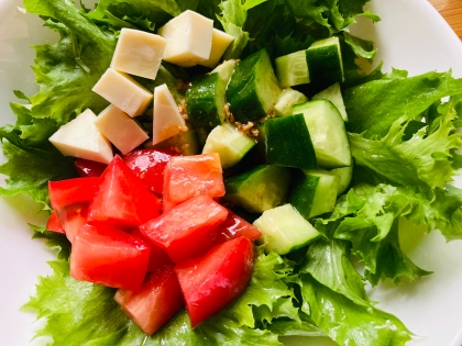 ゴーヤとトマトの夏野菜サラダ