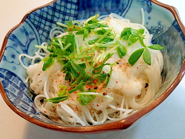 とろろと豆苗のピリ辛ぶっかけ素麺