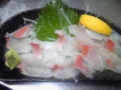 赤イサキ焼き霜作り レシピ 作り方 By Macinu 楽天レシピ