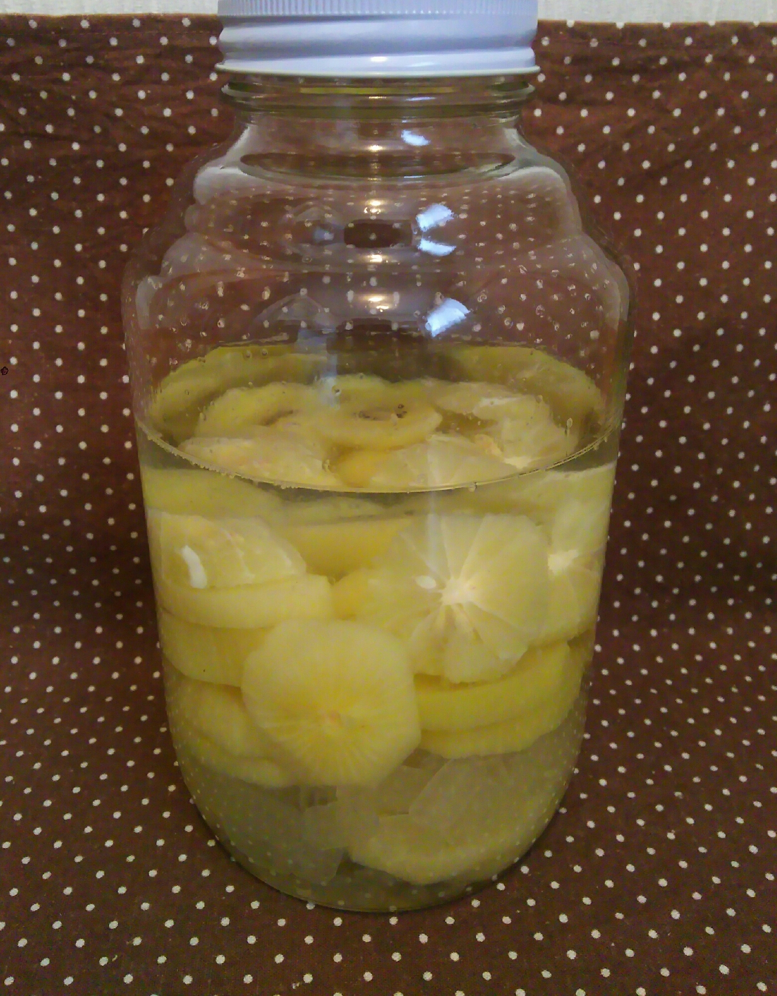 濃厚!キウイフルーツの果実酒