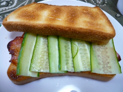 大変おいしくいただきました。
冷凍していた食パンなのでホットサンドで