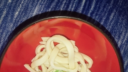 【無塩】手打ちモチモチうどん　一人前