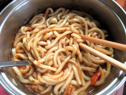 豚肉と玉ねぎのカレーうどん