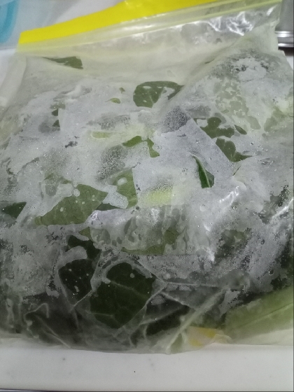 生のまま冷凍できて、料理にすぐ使えるのでとても便利ですね。大量に頂いた小松菜も、これなら無駄なく使えそうで良かったです。