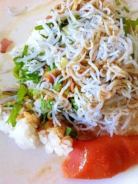 しらす 明太子 みょうが シソぶっかけ丼 レシピ 作り方 By モモグラモ 楽天レシピ しらす 明太子 みょうが シソぶっかけ丼 レシピ 作り方 By モモグラモ 楽天レシピ