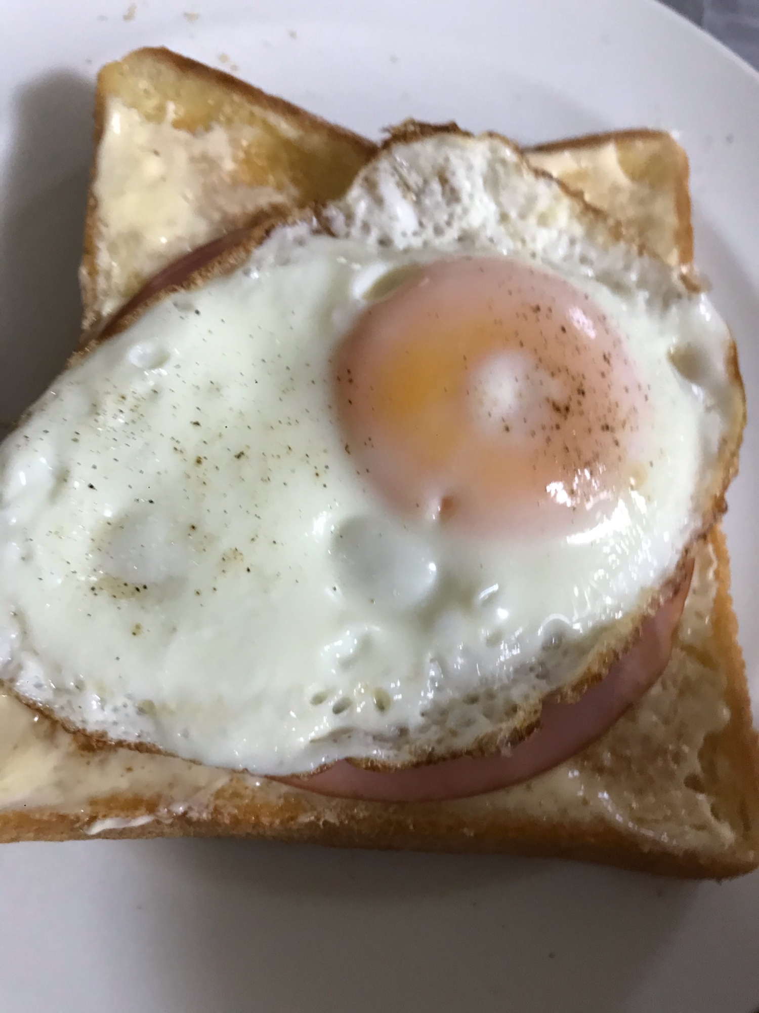 ハム玉食パン！美味しい！