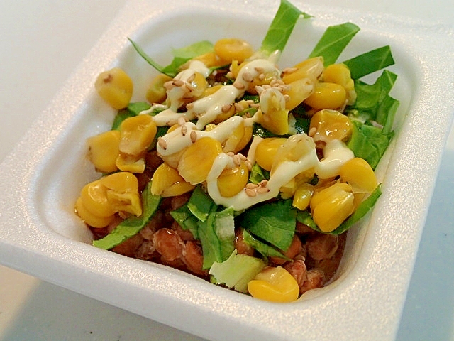 サラダ菜とトウモロコシの納豆