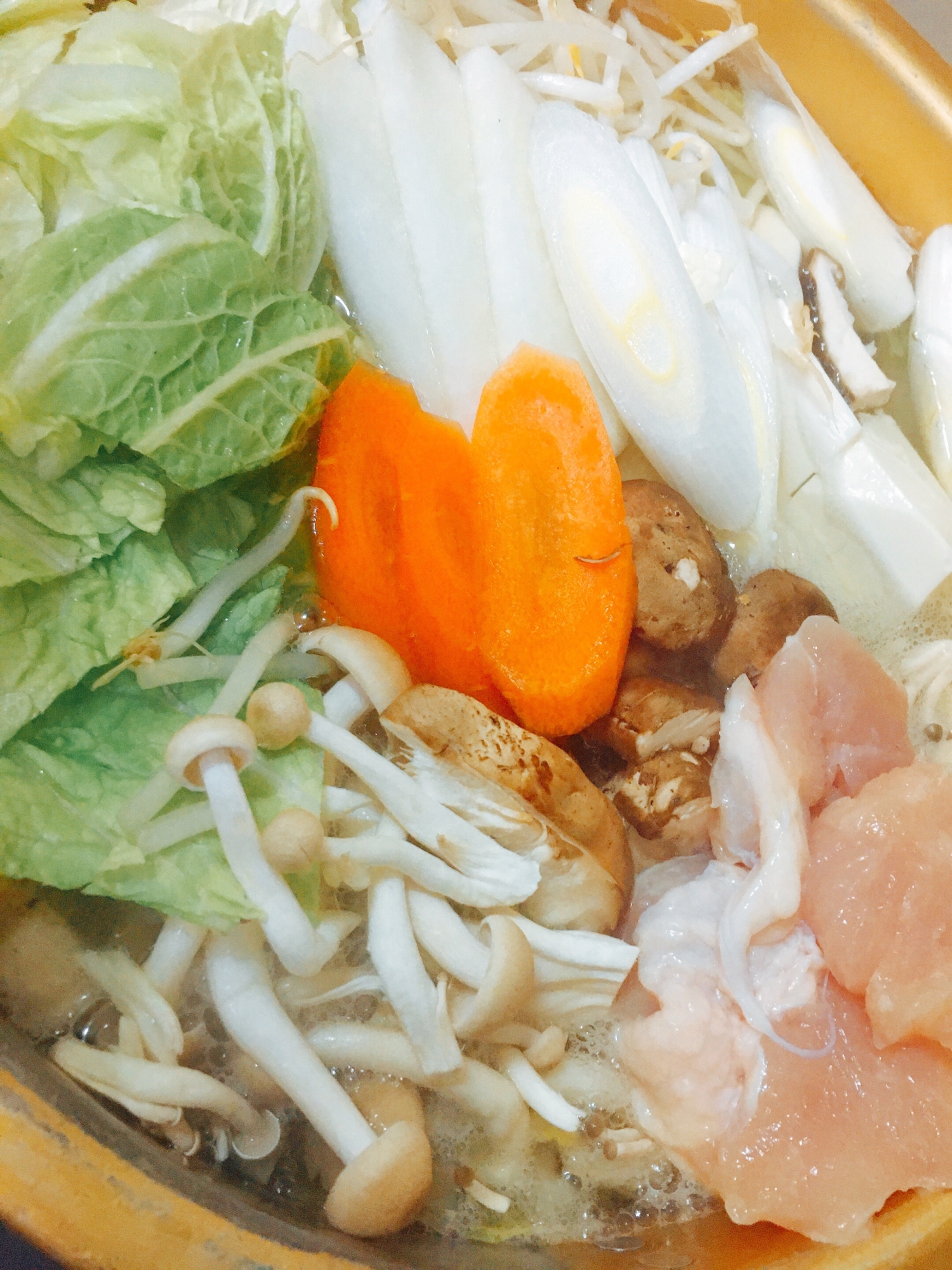 茶色の鍋に入った鶏むね肉ともやしの水炊き