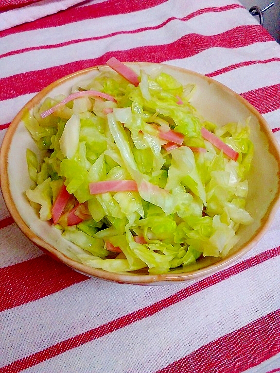【簡単!シンプル!】キャベツのさっぱりサラダ