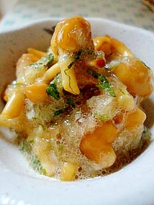 簡単小鉢 なめこのおろし和え レシピ 作り方 By p70ちゃん 楽天レシピ 簡単小鉢 なめこのおろし和え レシピ 作り方 By p70ちゃん 楽天レシピ