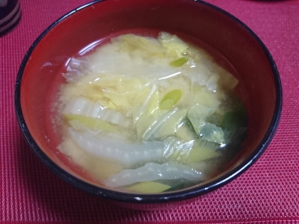 こんにちは　餃子に使おうともう季節はずれになりましたが白菜を買ってありました～どちらも柔らかくなる素材なので、食感が揃って食べやすく美味しかったです　ご馳走様