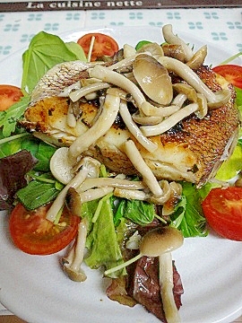 野菜も一緒に 鯛のポワレ レシピ 作り方 By p70ちゃん 楽天レシピ 野菜も一緒に 鯛のポワレ レシピ 作り方 By p70ちゃん 楽天レシピ