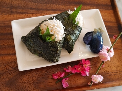 こんにちは彡めっちゃ良いお天気なので〜おにぎりにして我が家の梅を愛でながら食べたよ♪見えるかな？大葉を包ませて追いしらすしたよ〜めちゃ美味でしたゴチ39♡