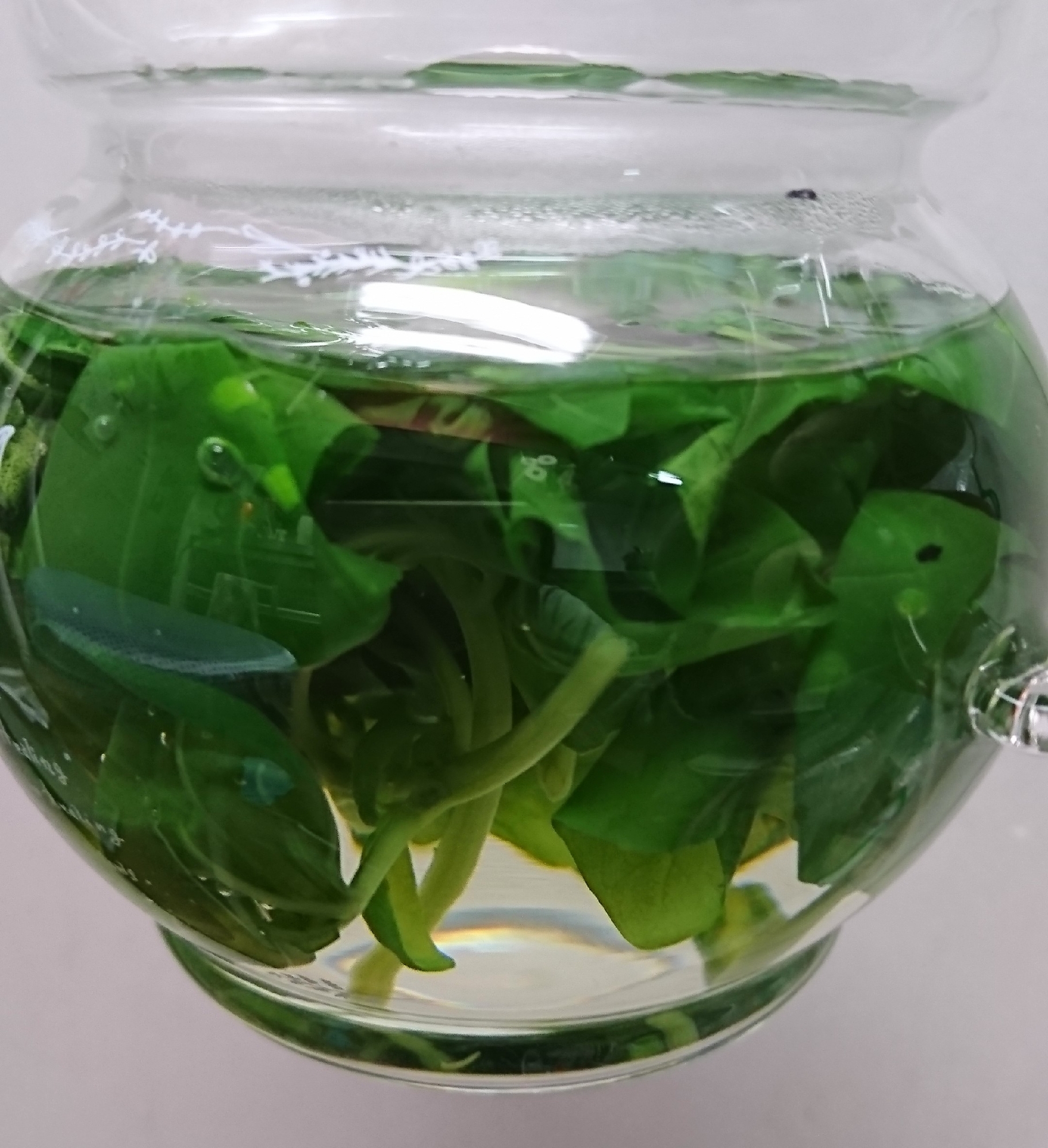 簡単!バジルティー