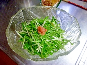 明太水菜サラダ