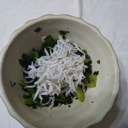 素朴♩チョイ小松菜の辛子和え