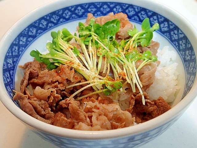 かいわれ大根のせて　ピリ辛・牛丼