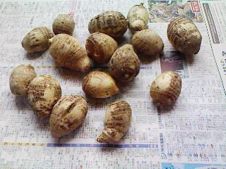 里芋の皮のむき方 おせちの八つ頭にも!