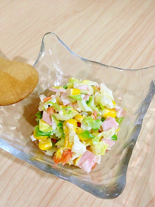 シャッキシャキ!失敗なしの基本のコールスロー!