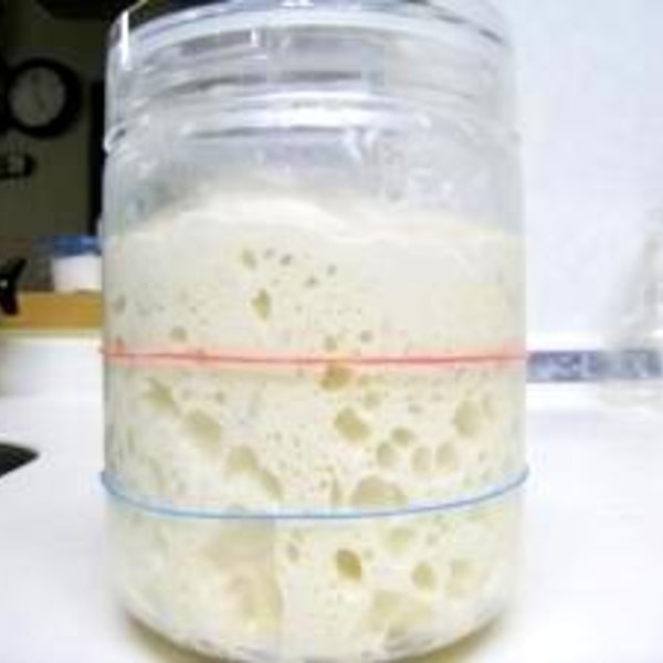 自家製酵母 元種から繋ぎ方まで レシピ 作り方 By さりょ0472 楽天レシピ 自家製酵母 元種から繋ぎ方まで レシピ 作り方 By さりょ0472 楽天レシピ